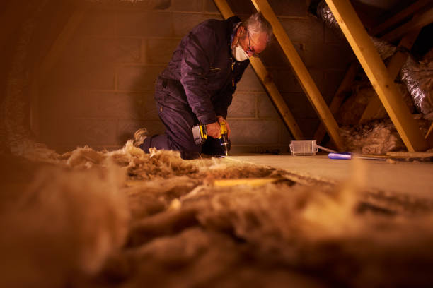 Best Insulation Installation Services in Old Town, ME